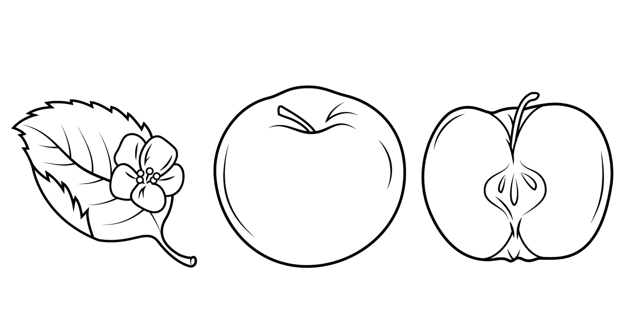 Desenho de Geral para colorir