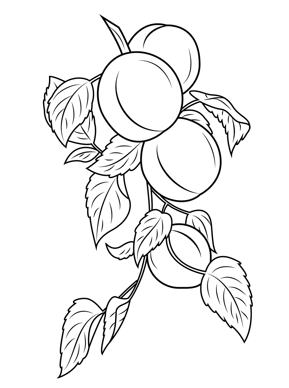Desenho de Geral para colorir