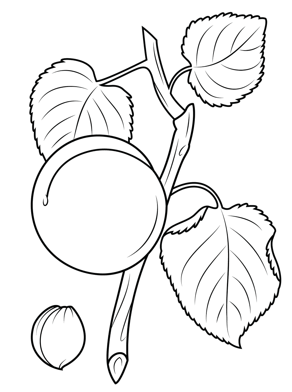 Desenho de Geral para colorir