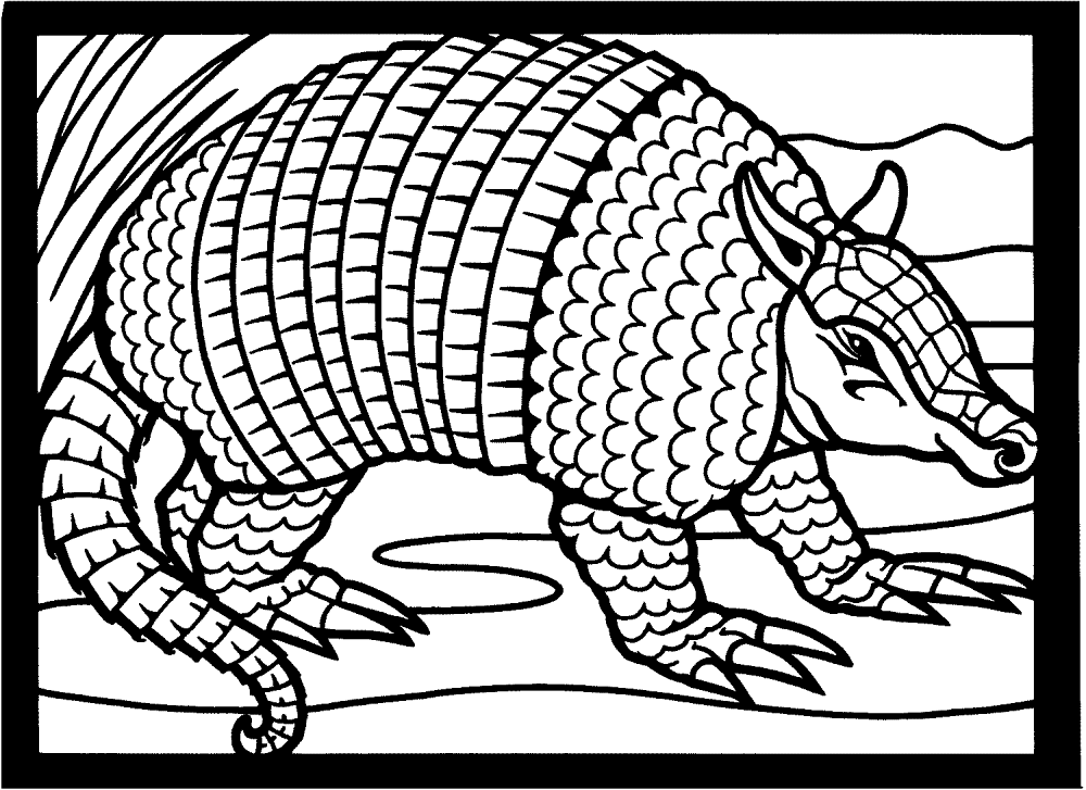 Desenho de Geral para colorir
