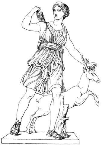 Desenho de Geral para colorir