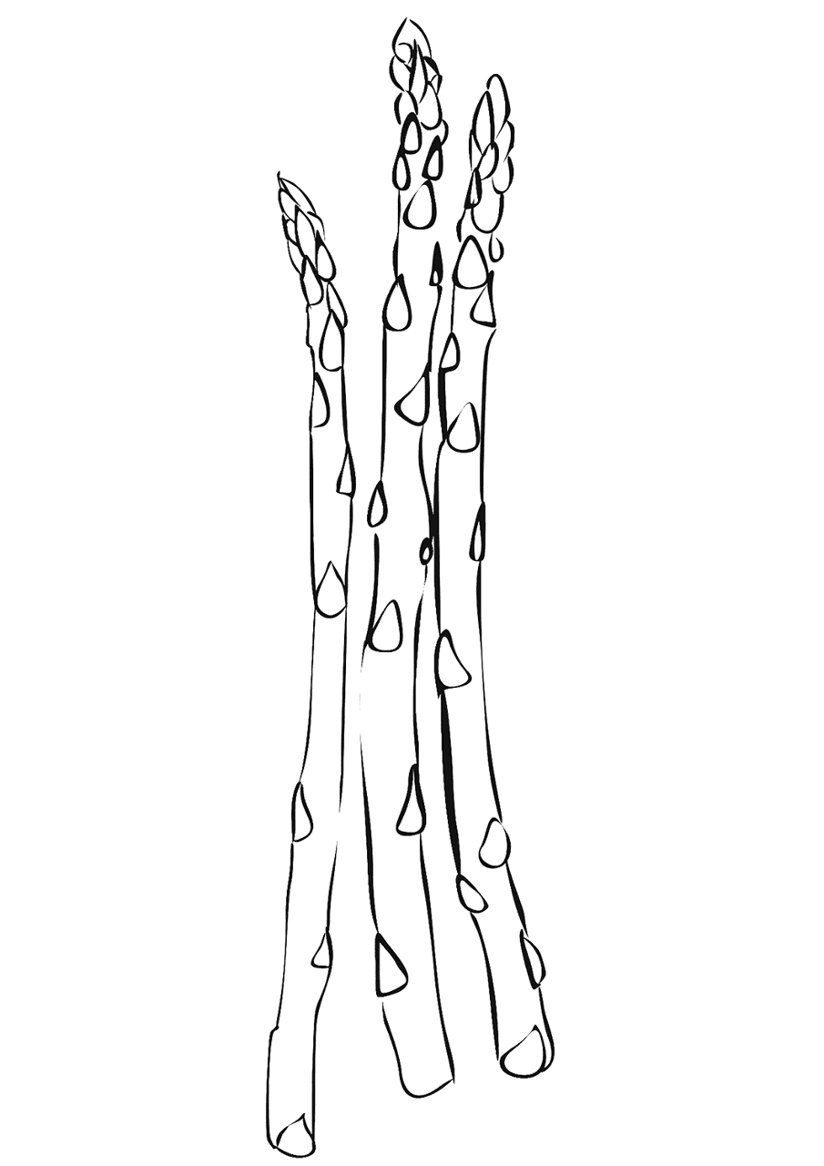 Desenho de Geral para colorir