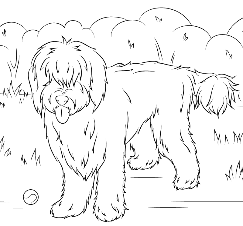 Desenho de Geral para colorir