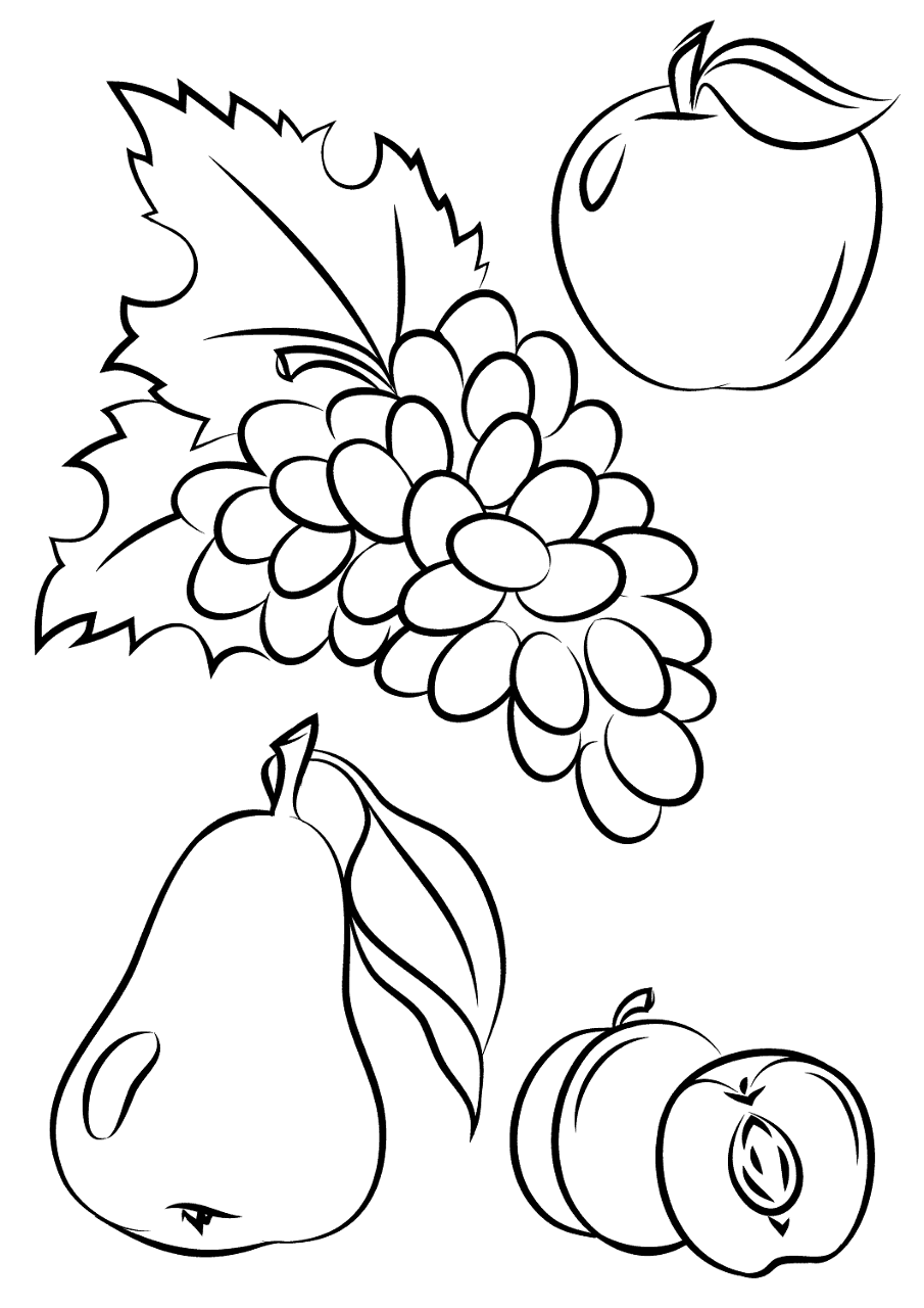 Desenho de Geral para colorir