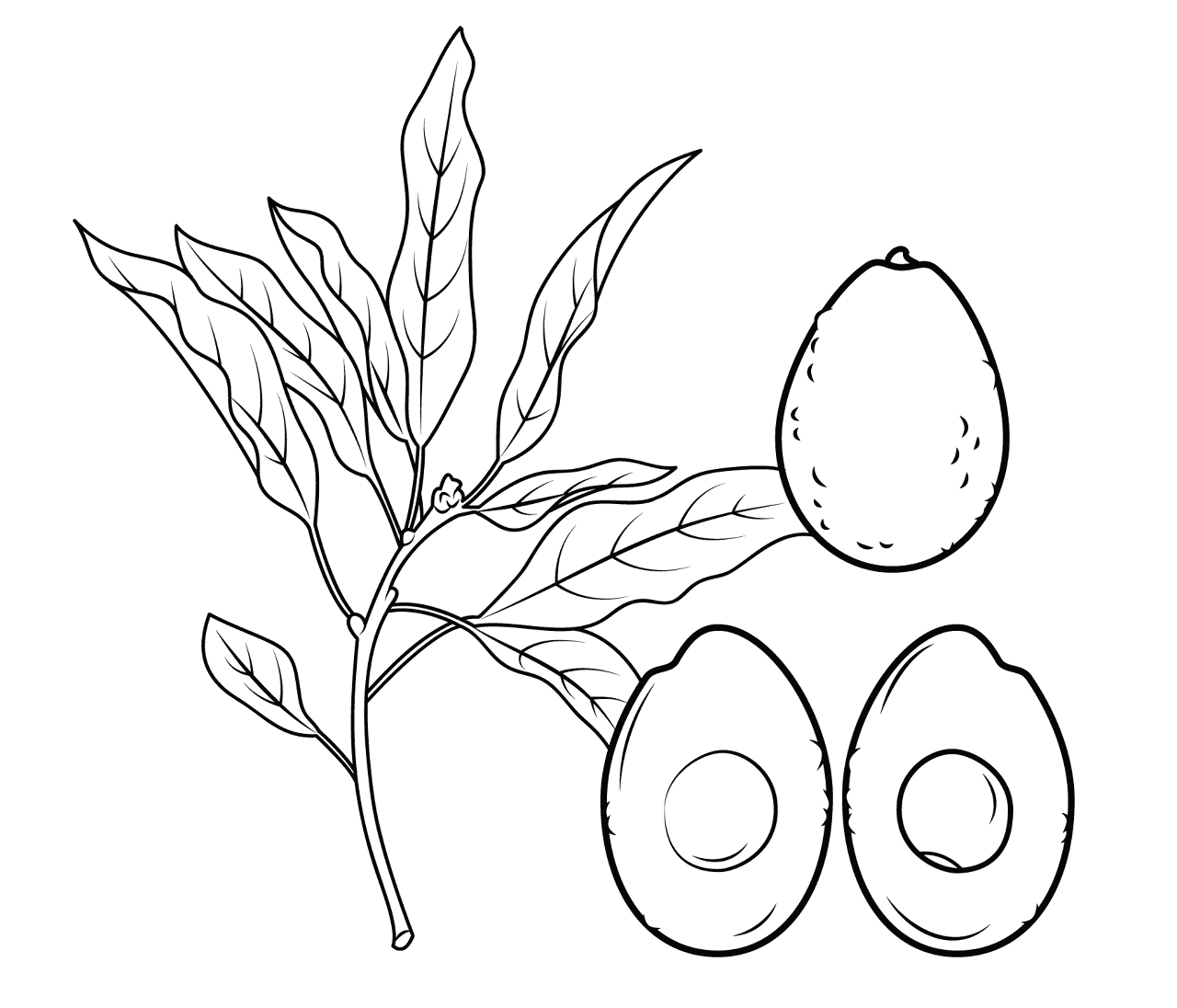 Desenho de Geral para colorir