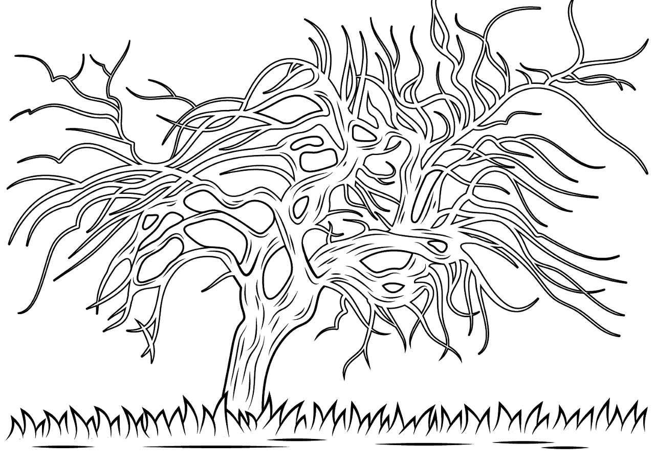 Desenho de Geral para colorir