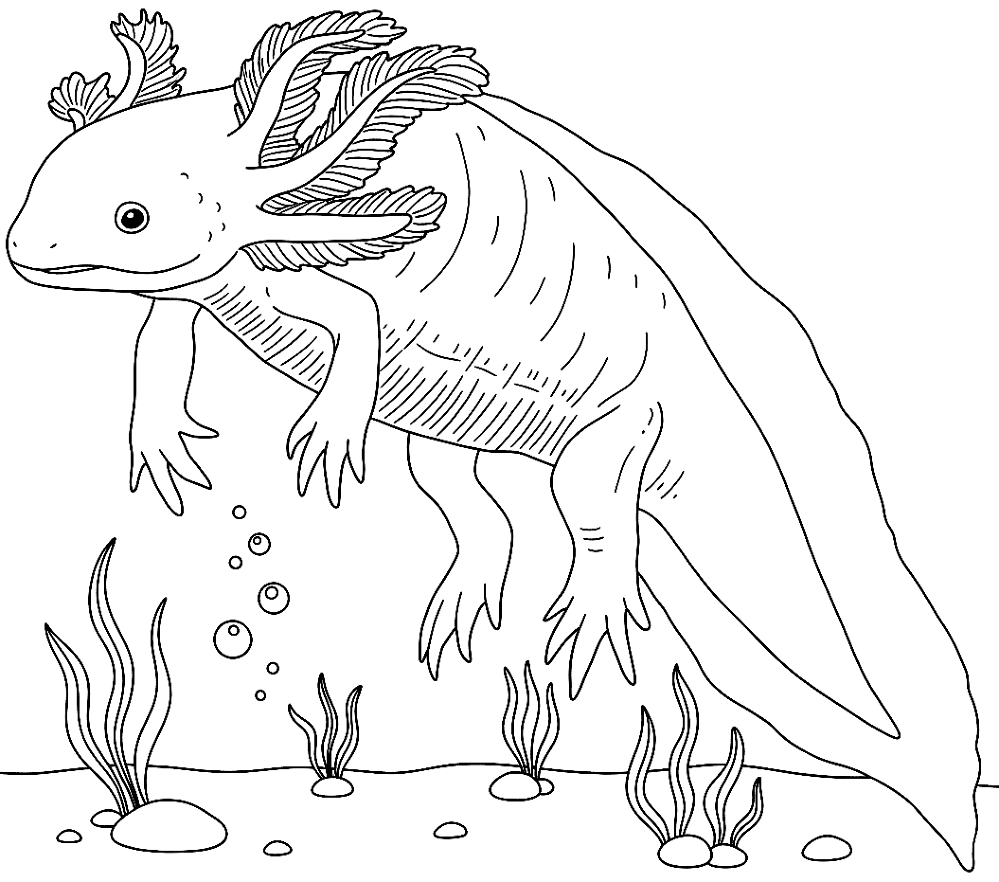 Desenho de Geral para colorir