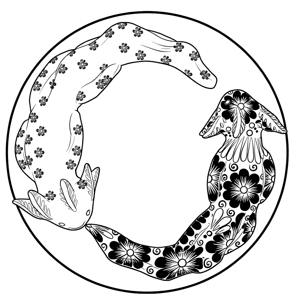 Desenho de Geral para colorir