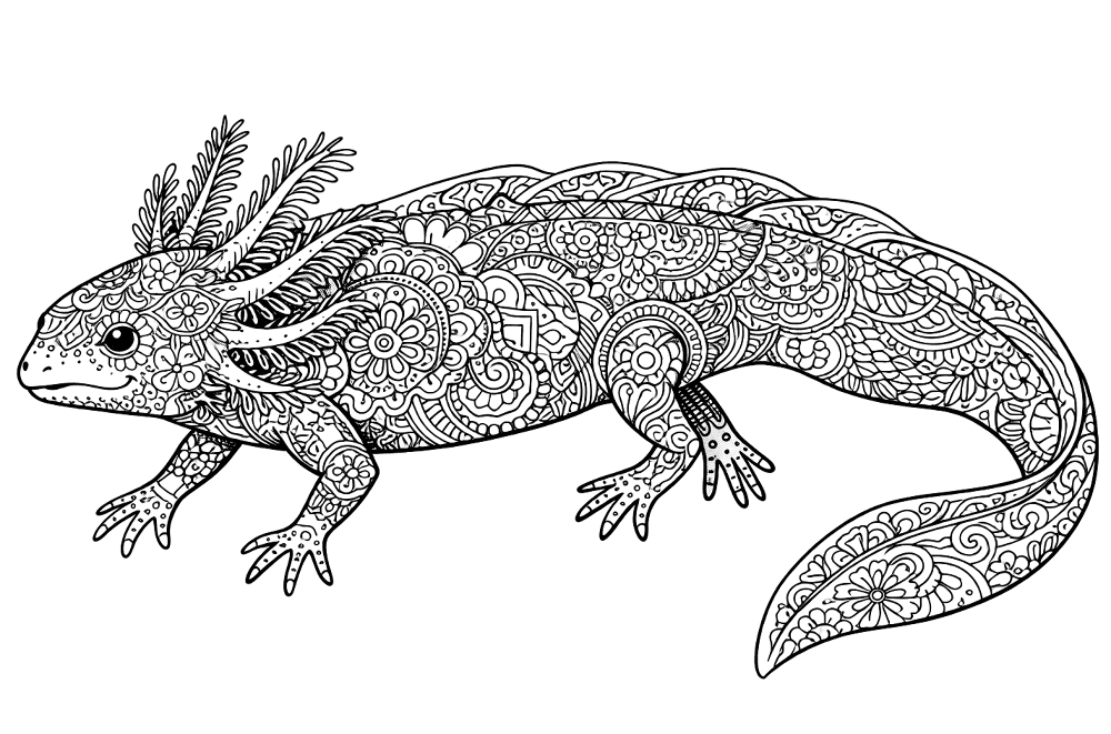 Desenho de Geral para colorir