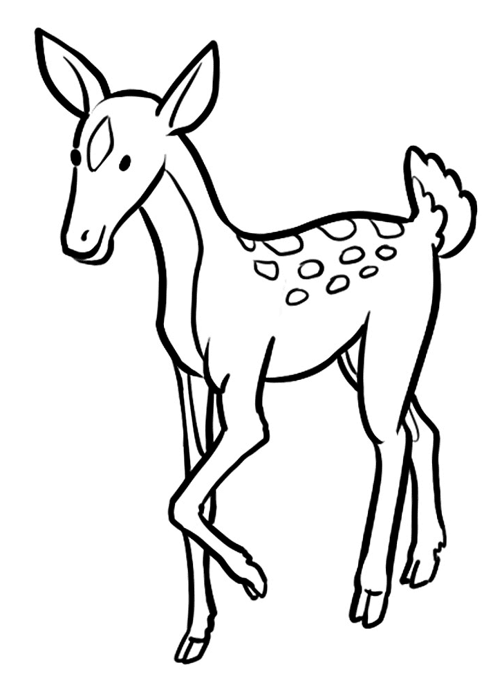 Desenho de Geral para colorir