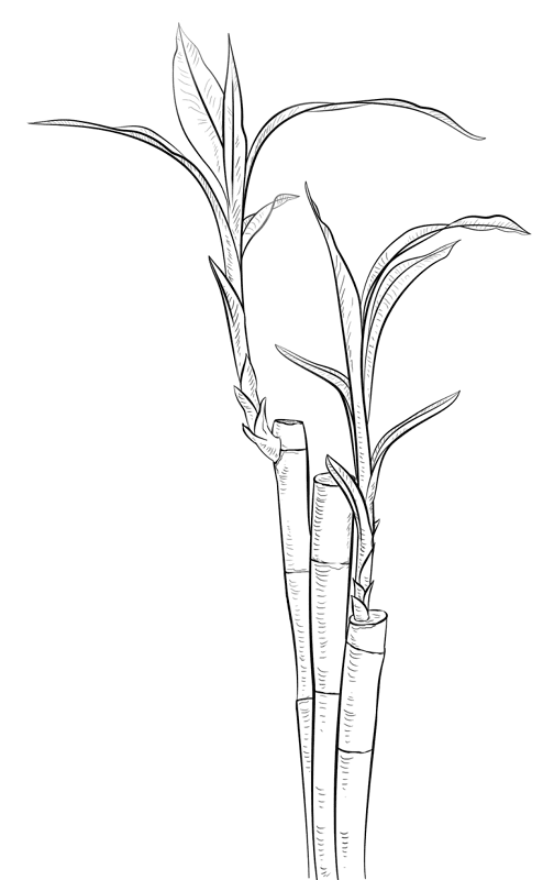 Desenho de Geral para colorir