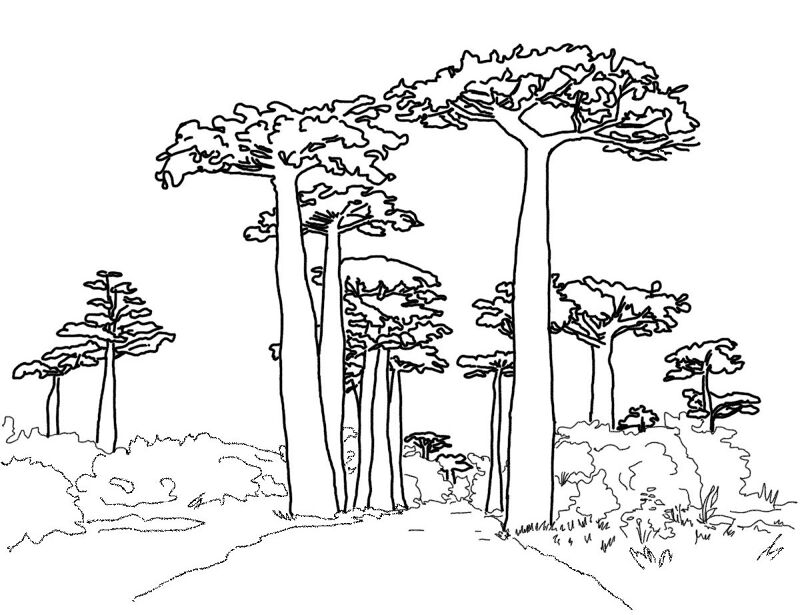 Desenho de Geral para colorir