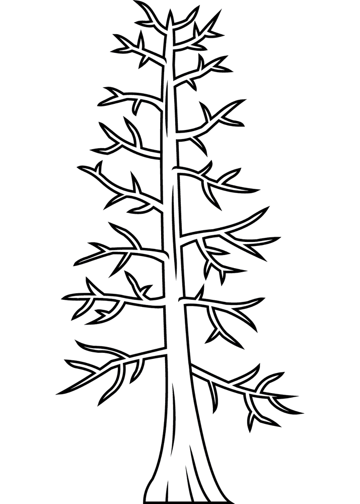 Desenho de Geral para colorir