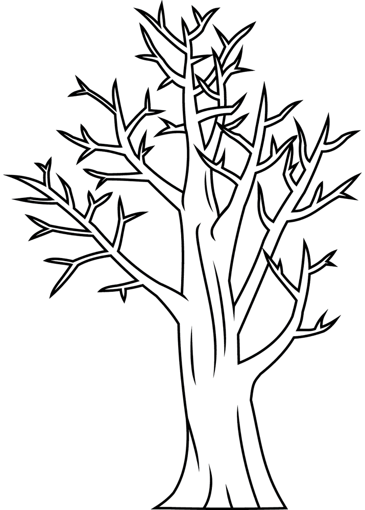 Desenho de Geral para colorir