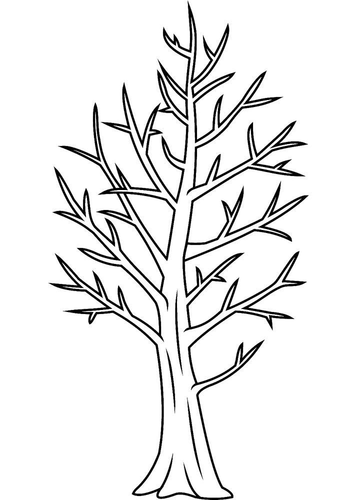 Desenho de Geral para colorir