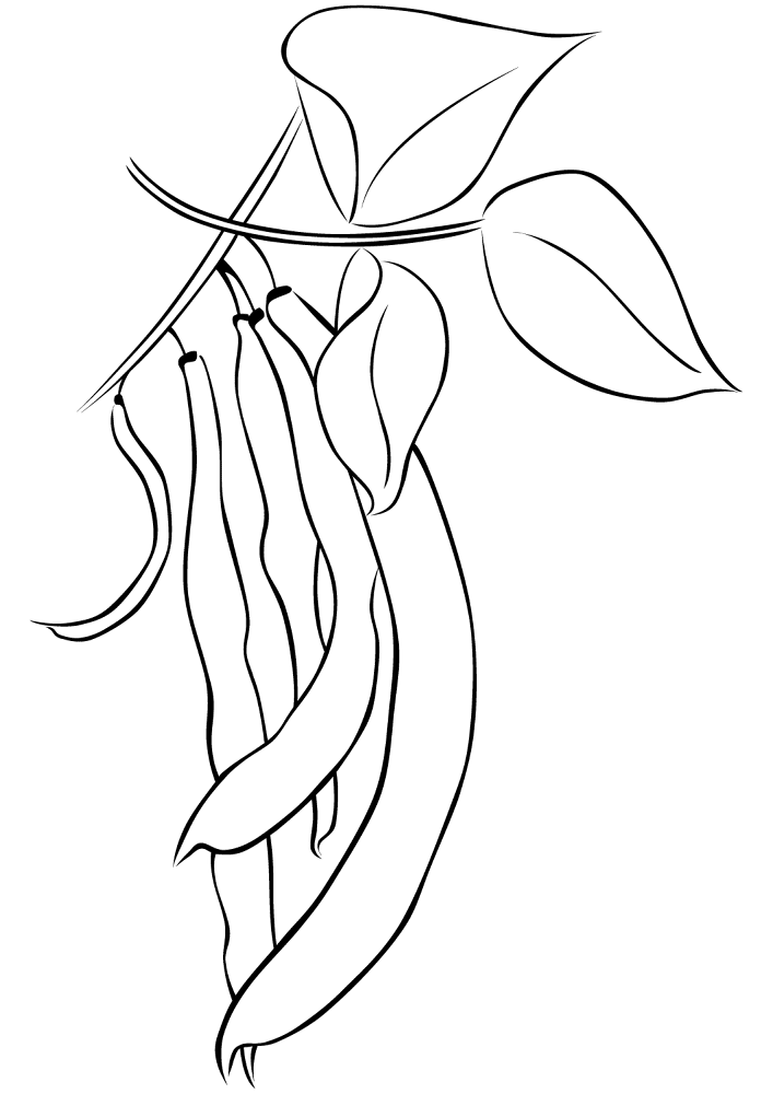 Desenho de Geral para colorir