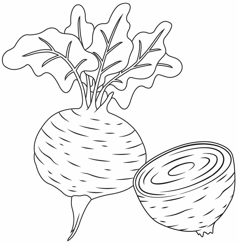 Desenho de Geral para colorir