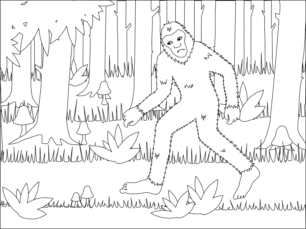 Desenho de Geral para colorir