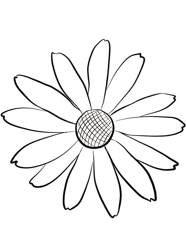 Desenho de Geral para colorir