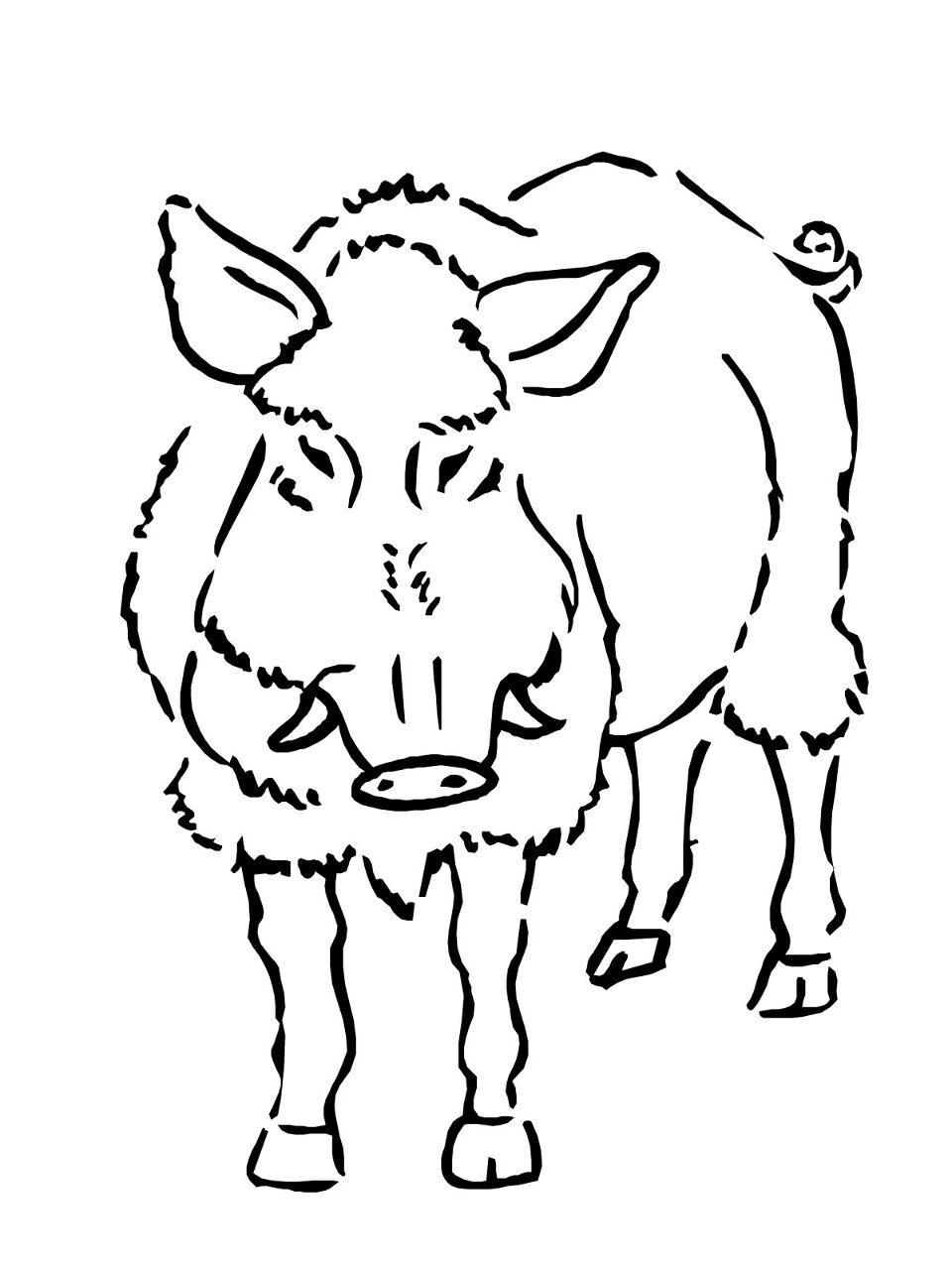 Desenho de Geral para colorir