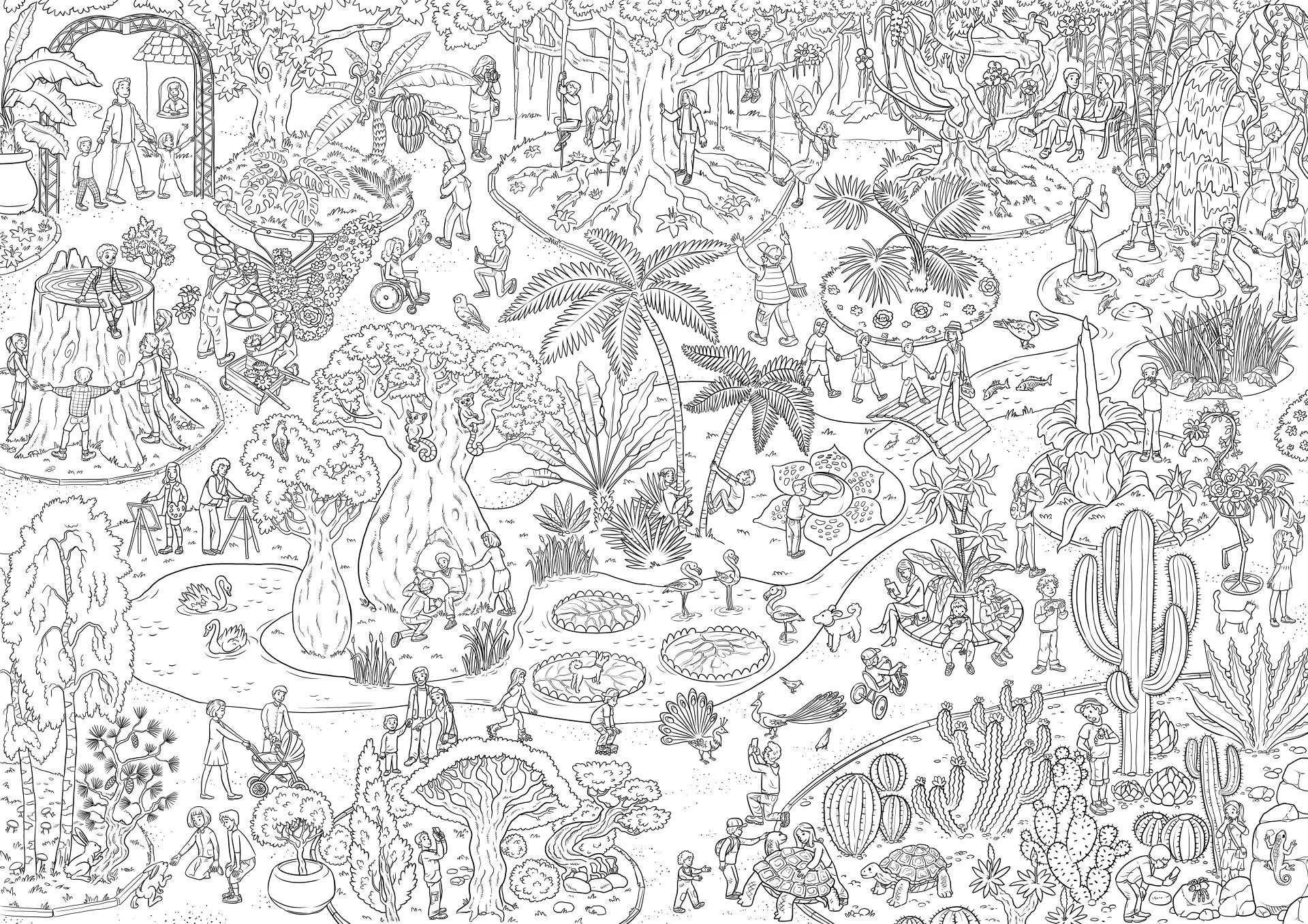 Desenho de Geral para colorir