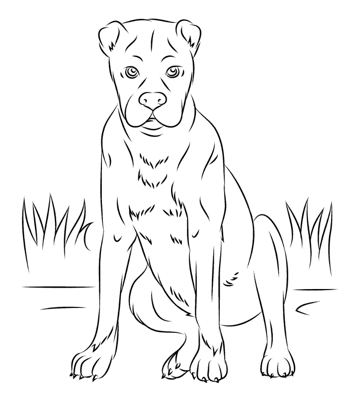 Desenho de Geral para colorir