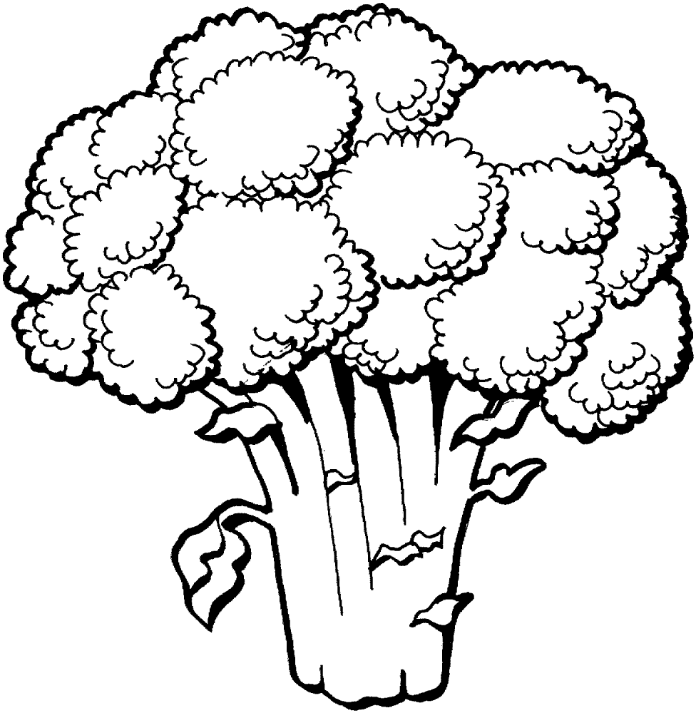 Desenho de Geral para colorir