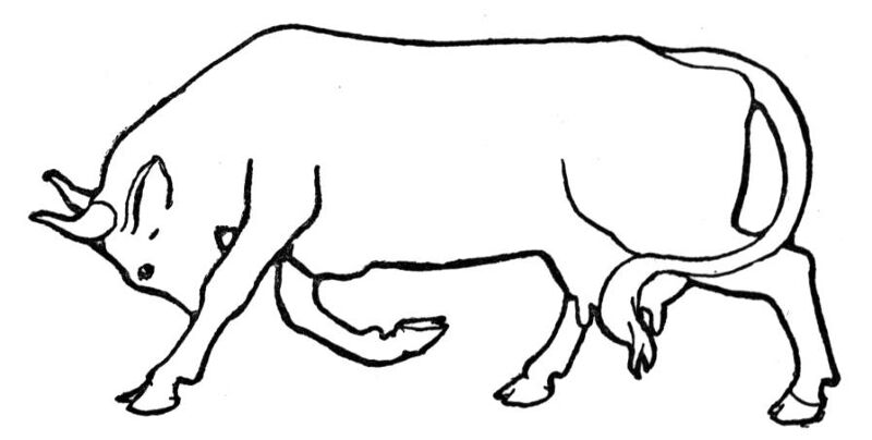 Desenho de Geral para colorir