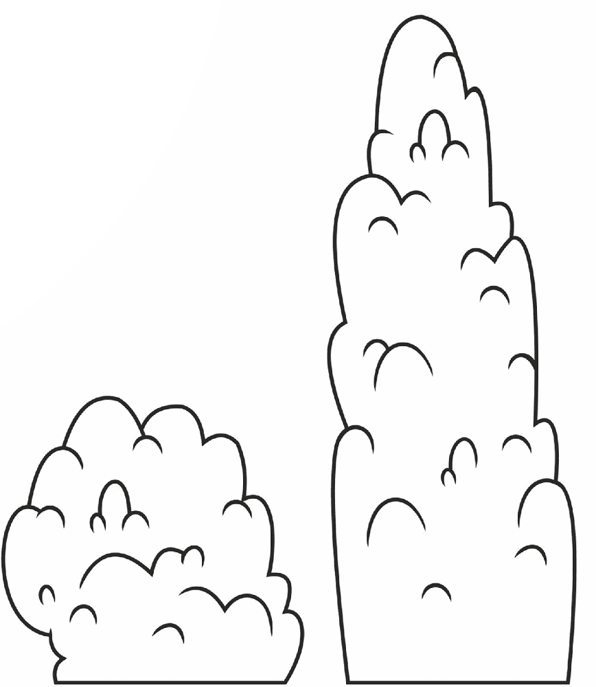 Desenho de Geral para colorir