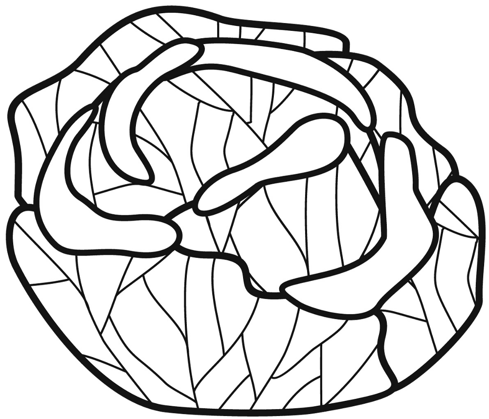 Desenho de Geral para colorir