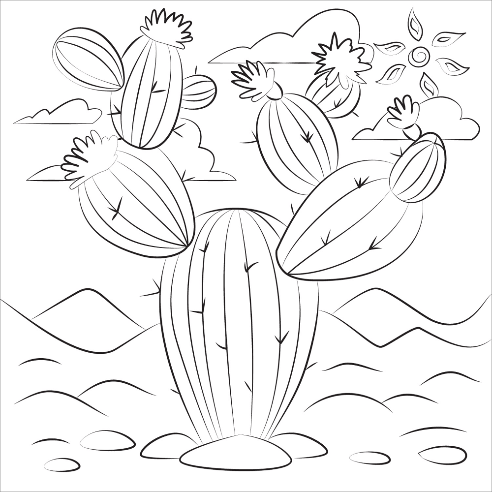 Desenho de Geral para colorir