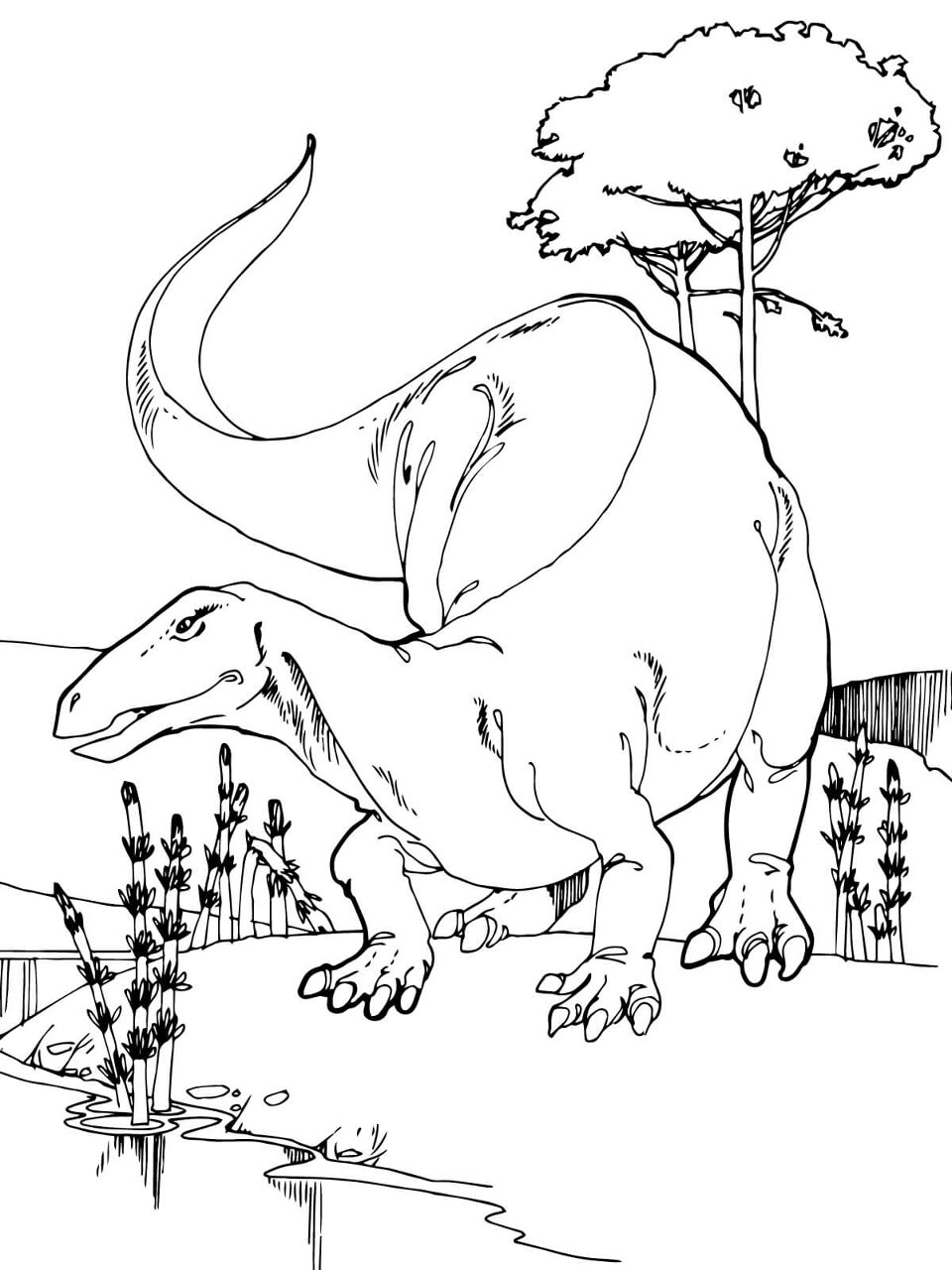 Desenho de Geral para colorir