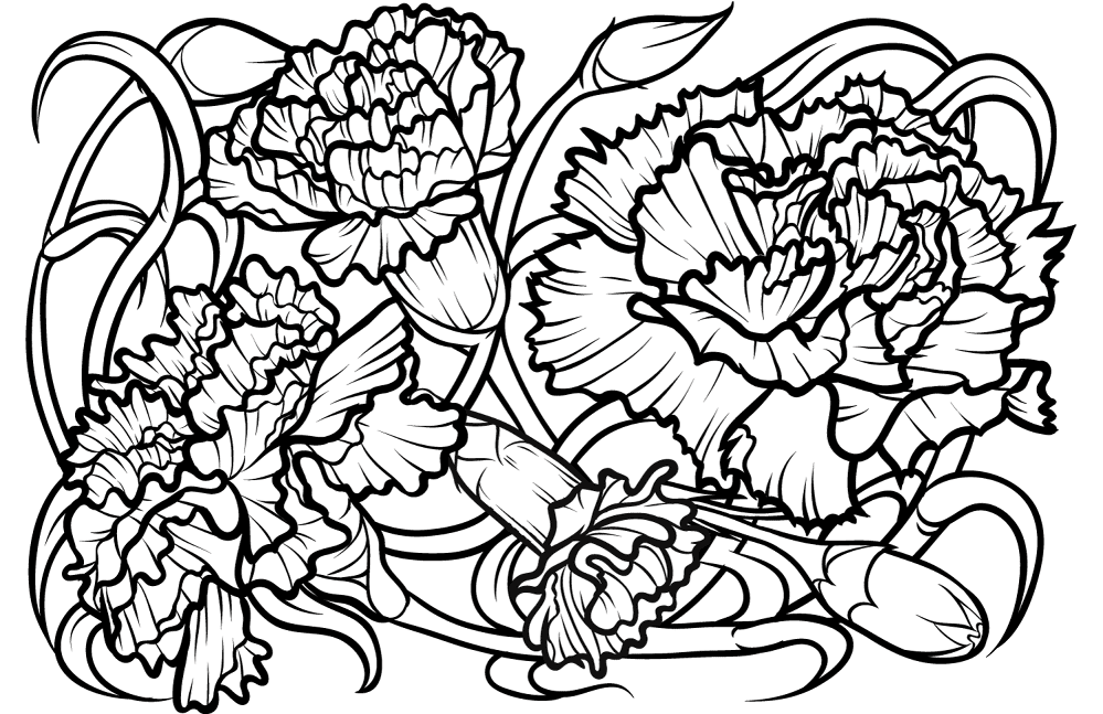 Desenho de Geral para colorir