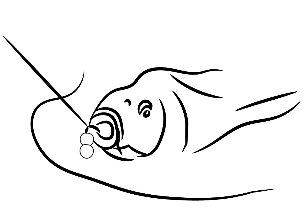 Desenho de Geral para colorir