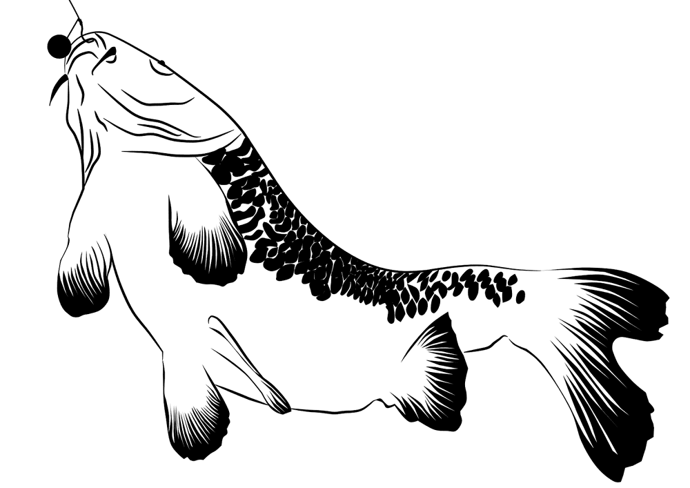 Desenho de Geral para colorir