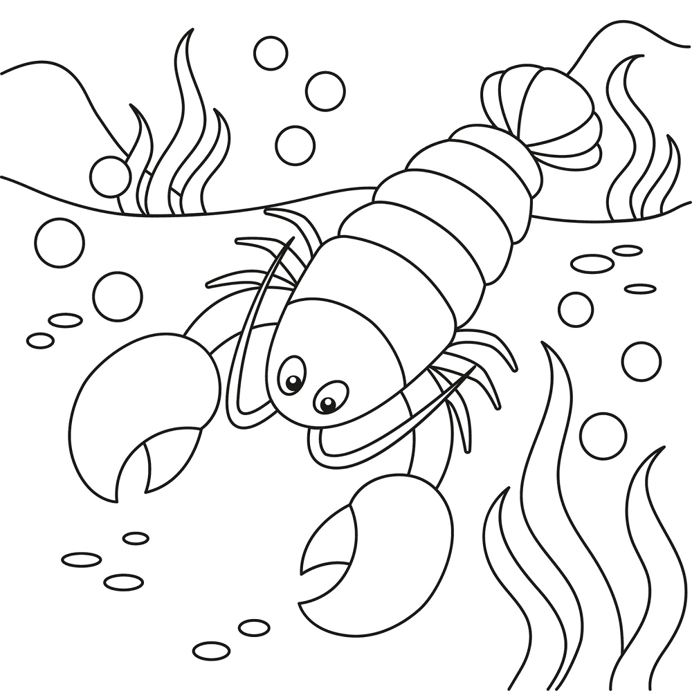 Desenho de Geral para colorir