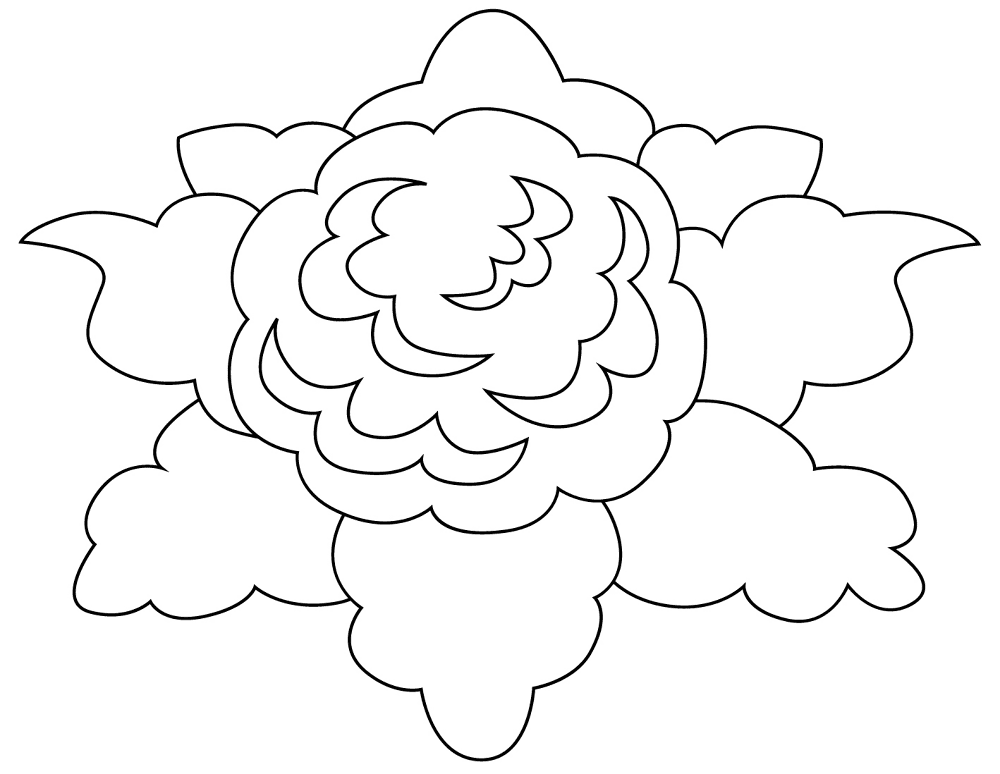 Desenho de Geral para colorir