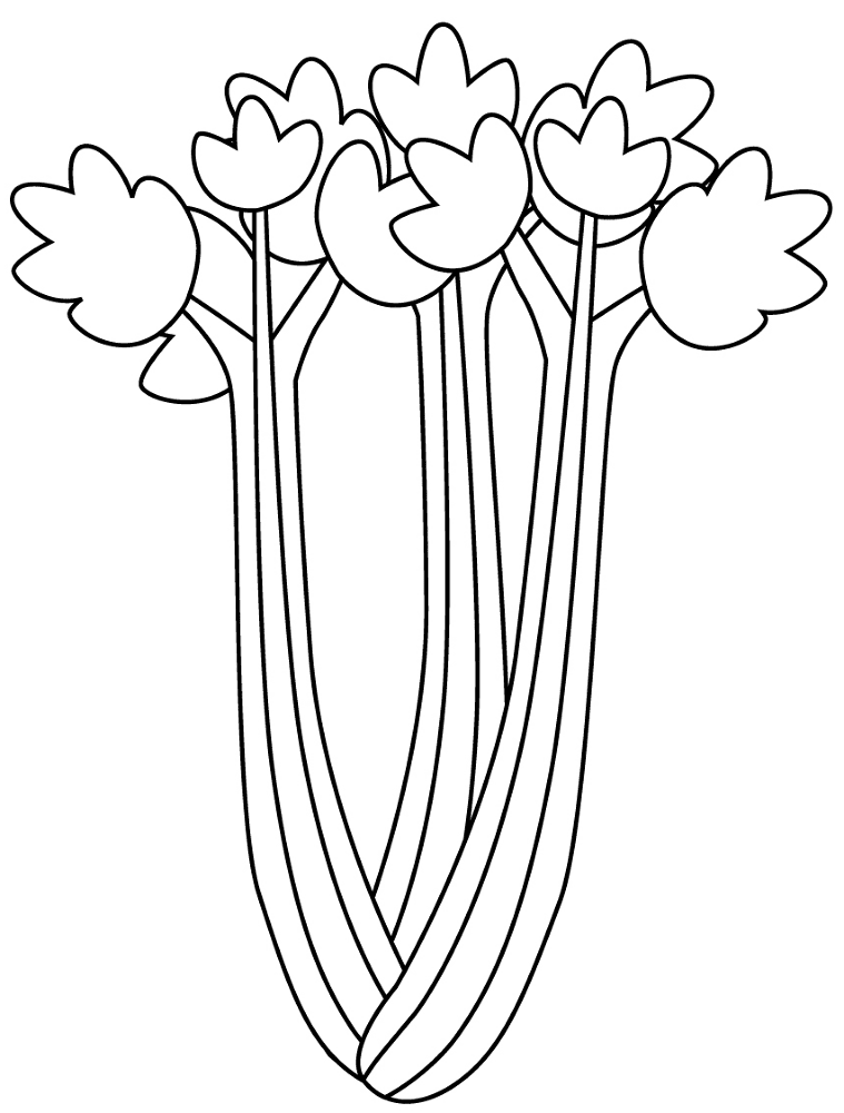 Desenho de Geral para colorir