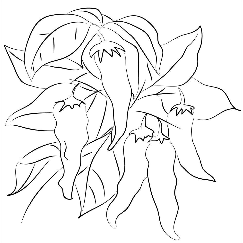 Desenho de Geral para colorir
