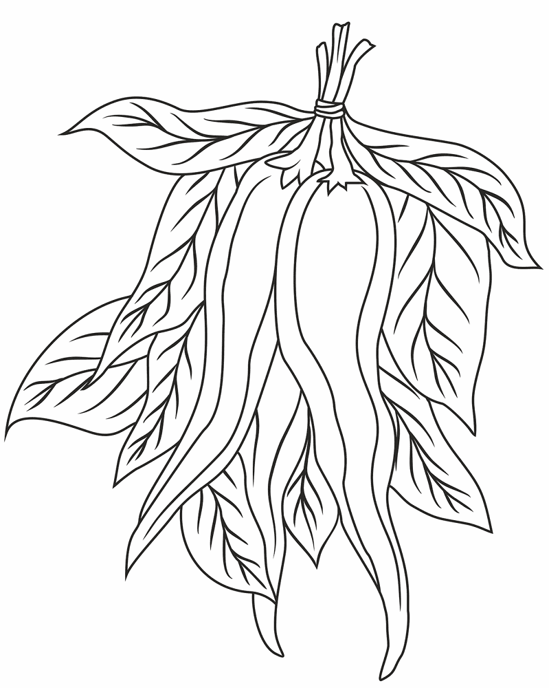 Desenho de Geral para colorir