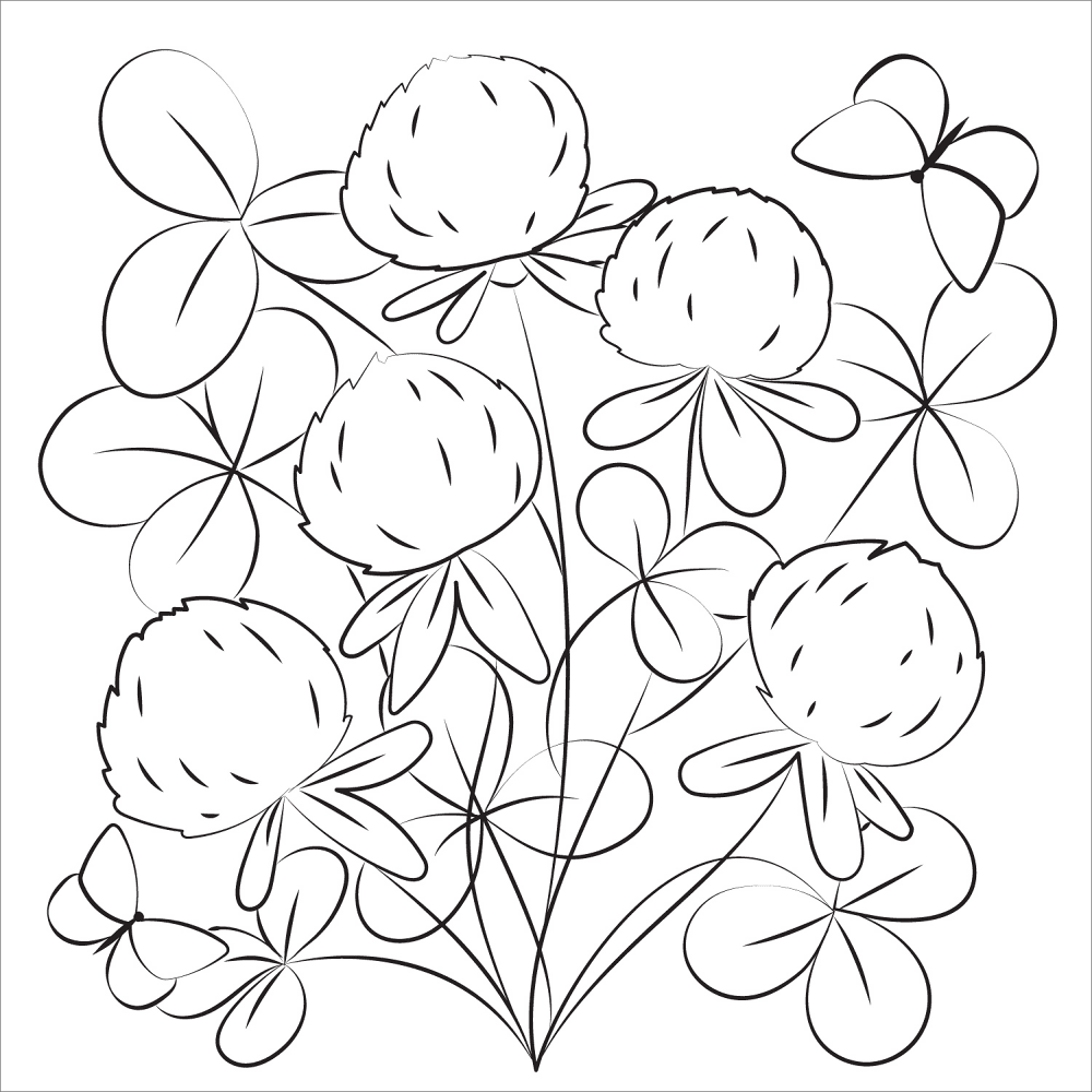 Desenho de Geral para colorir