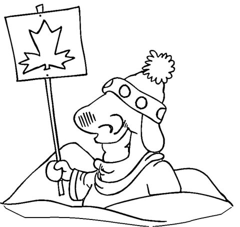 Desenho de Geral para colorir