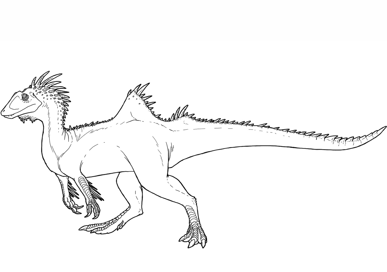 Desenho de Geral para colorir