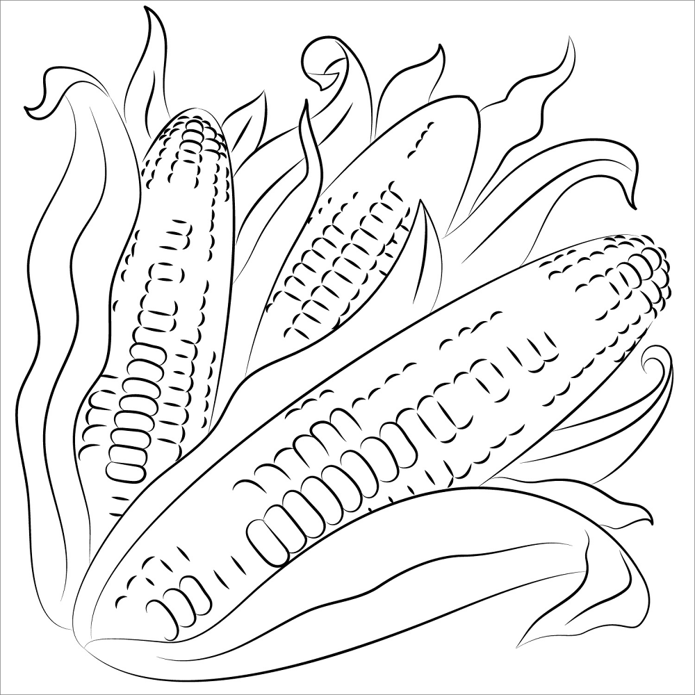 Desenho de Geral para colorir