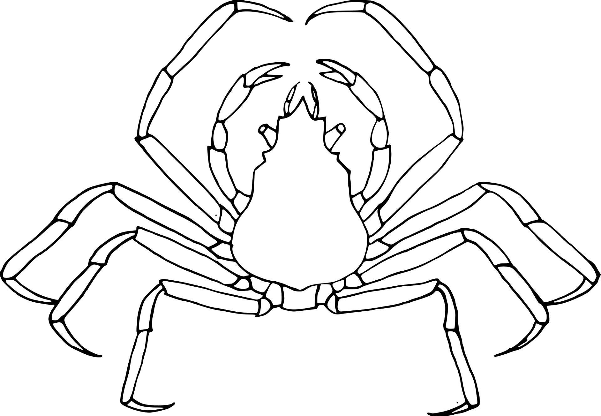 Desenho de Geral para colorir