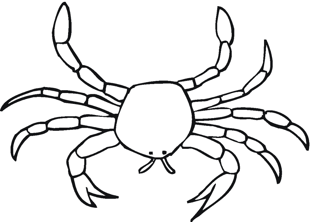 Desenho de Geral para colorir