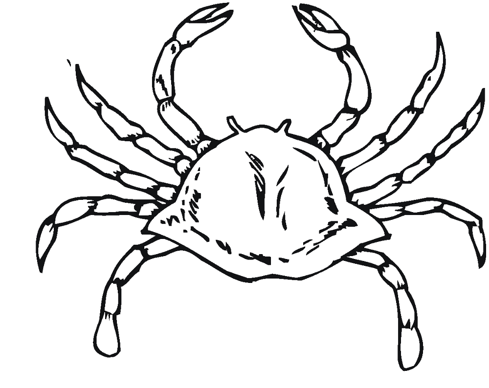 Desenho de Geral para colorir
