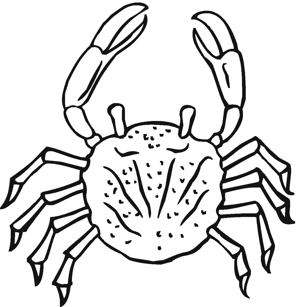 Desenho de Geral para colorir