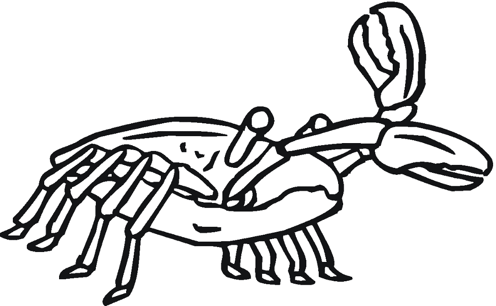 Desenho de Geral para colorir