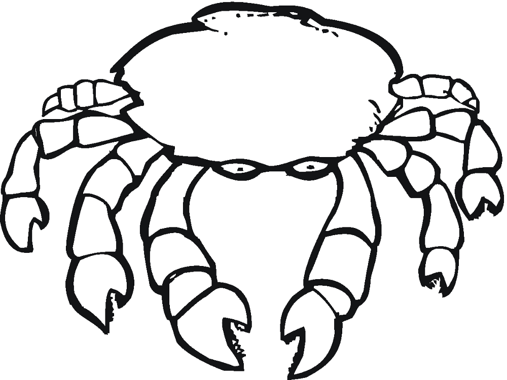 Desenho de Geral para colorir